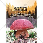 Белый гриб Сосновый (30 мл) (УД)